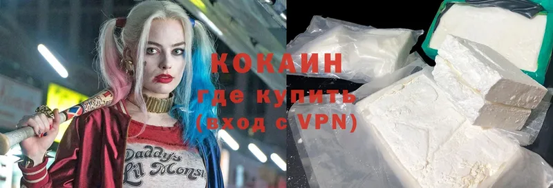 Кокаин Fish Scale  где купить   Камышлов 