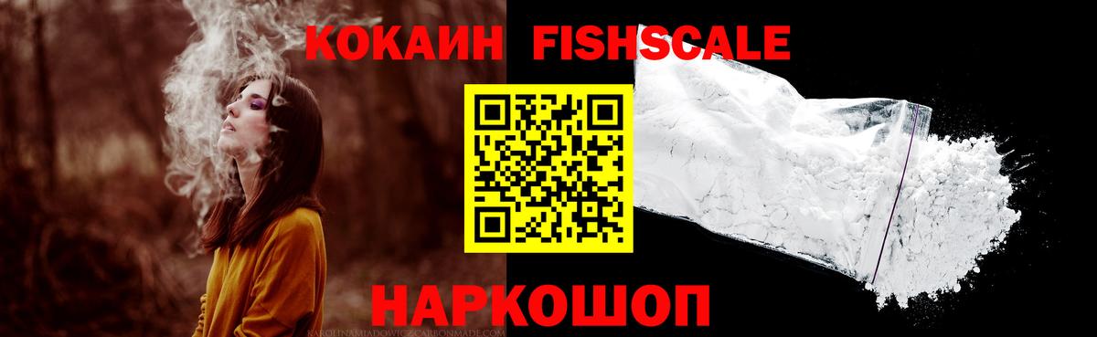 Cocaine FishScale  Вход с VPN  Камышлов 